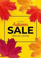 Shiny Autumn Leaves Sale Banner Business Discount Card vector