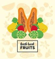 Letras de frutas locales frescas con papaya y frutas. vector