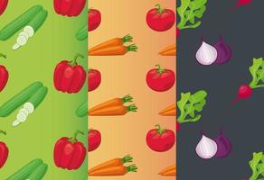 fresh local vegetables in set colors backgrounds vector