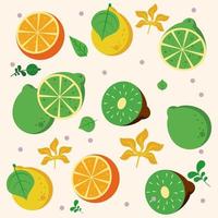 fresh local fruits with oranges and kiwis pattern vector