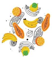 Frutas frescas locales con plátanos y papayas en fondo blanco. vector