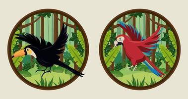 wild toucan and parrot birds in circular frames vector