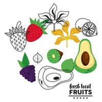 Letras de frutas frescas locales con frutas en fondo blanco vector