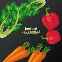 Letras de verduras locales frescas con fondo negro vector