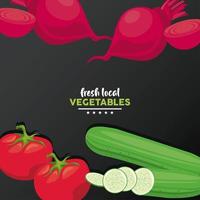 Letras de verduras frescas locales con fondo negro vector