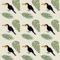 wild toucans birds and leafs plants pattern background vector