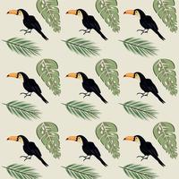 wild toucans birds and leafs plants pattern background vector