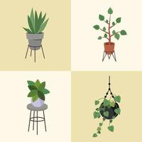 paquete de cuatro plantas caseras en la decoración de macetas de cerámica vector