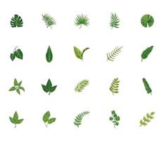 Paquete de veinte hojas de plantas iconos de naturaleza verde vector