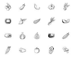 bundle of twenty vegetables set icons vector