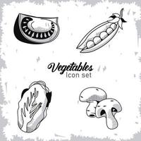 bundle of four vegetables with lettering set icons vector