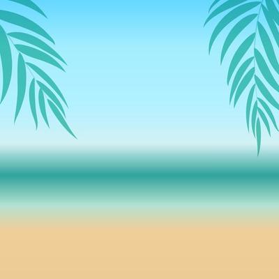 Abstract Summer  Background with Palm Leaves Beach and Seaside