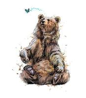Brown bear sitting and playing with butterfly from a splash of watercolor hand drawn sketch Vector illustration of paints