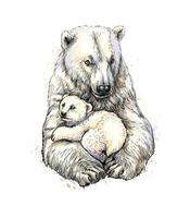 Polar bear with cub from a splash of watercolor hand drawn sketch Vector illustration of paints