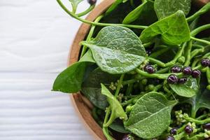 Basella alba hojas vegetales para la salud foto