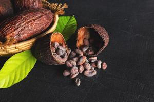 cacao seco y granos de cacao foto