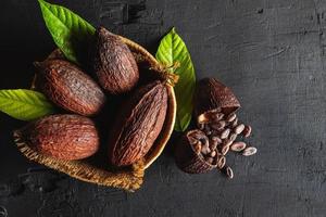 Top view dried cocoa and cocoa beans photo