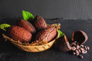 Dried cocoa and cocoa beans photo