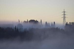 árboles cubiertos de niebla en montescudaio foto