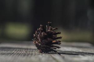 Cono de pino marrón sobre una tabla de madera oscura. foto