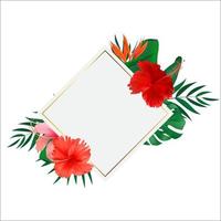 Abstract natural frame with Tropical Palm and Monstera Leaves exotic flower isolated on white vector