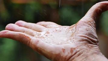 Cerrar la mano del anciano feliz jugar atrapando gotas de lluvia en el fondo de la naturaleza borrosa, los agricultores están contentos con la lluvia según la temporada video