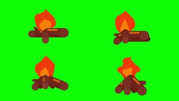 Different types of wood fire animation set video