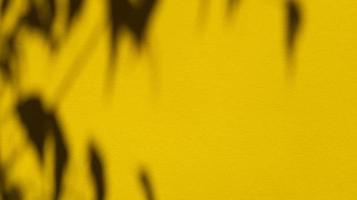 Hojas de sombras sobre papel amarillo pastel fondo abstracto foto de stock