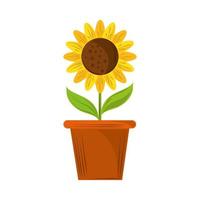potted sunflower decoration vector