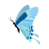 watercolor blue butterfly vector