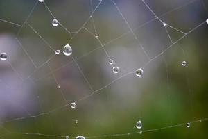 Gotas en la telaraña en días lluviosos. foto