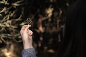 Close-up of woman's hand holding a pine cone with a natural blurred background photo