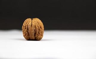 Walnut in shell close-up on gray background with copy space photo