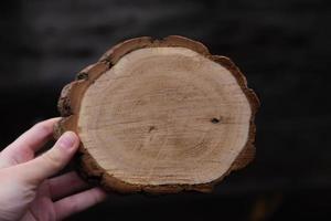 Woman's hand holding empty circular piece of wood section photo