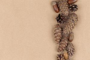 Autumn composition frame made of pine cones, acorns and chestnuts