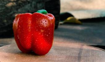 One fresh red bell pepper close up on wooden background photo