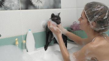 A woman bathes a cat in the bathroom video