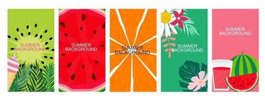 Collection set of social media stories design templates summer backgrounds vector