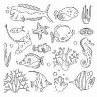 conjunto de doodle de vida marina colección de peces y corales mano ahoga elementos bajo el agua en un estilo lindo vector