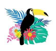 Toucan bird with palm leaves on white background vector