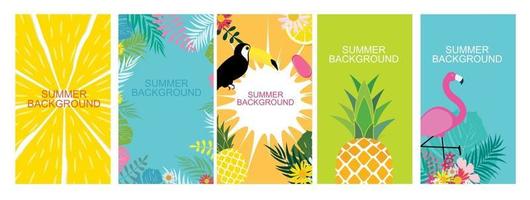 Collection set of social media stories design templates summer backgrounds vector