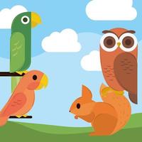 birds squirrel geometric vector