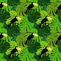 Tropic Toucan bird and palm leaf seamless pattern background design vector