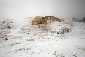 Mammoth Hot Springs photo