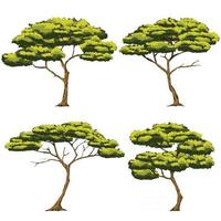 establecer ilustración vectorial de cuatro árboles es un tipo de árbol que crece en los pastizales africanos vector