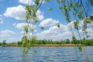 hermoso paisaje soleado de verano con lago verde hierba y cielo con nubes foto