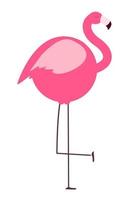 Thick flamingo on white background vector