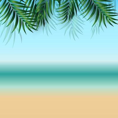 Abstract Summer  Background with Palm Leaves Beach and Seaside