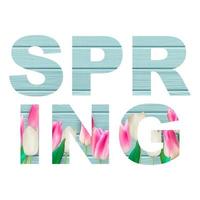 Abstract Spring Word Vector Illustration