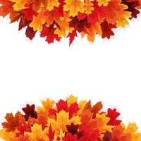 Shiny Autumn Leaves Banner Background vector